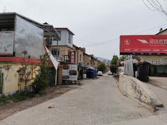 -大锅强·蒸海鲜青岛菜(吾悦广场店)