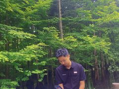 -桤木河湿地公园