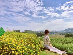 -光明小镇欢乐田园