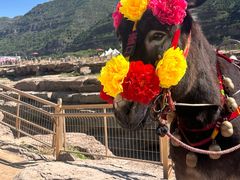 -陕西黄河壶口瀑布旅游区