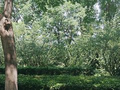 -洛阳市隋唐城遗址植物园
