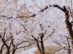 -国际非物质文化遗产博览园