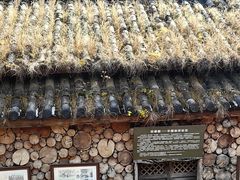 -田德能咖啡博物馆