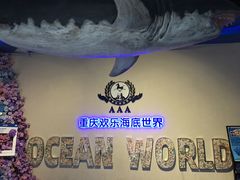 -重庆欢乐海底世界