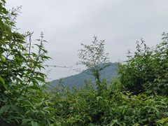 -九曜山