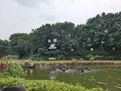 -广州长隆飞鸟乐园