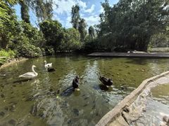 -海南热带野生动植物园