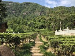 -姑婆山旅游区