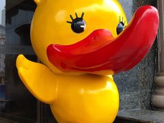 -全聚德(哈尔滨店)