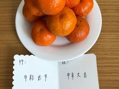 -上海怡沁园度假酒店