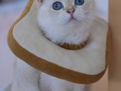 -昆山招商花园城