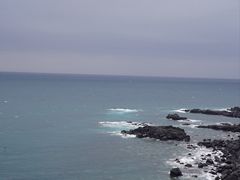 -涉地可支