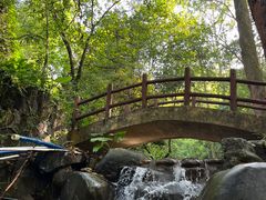 -火炉山森林公园