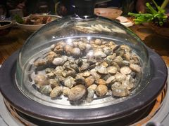 蛤蜊-77号渔船·蒸海鲜青岛菜(积米崖店)