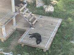 -石家庄市动物园