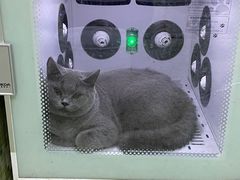 -瑞鹏宠物医院·微创内窥镜·骨外科·牙科(翠竹分院)