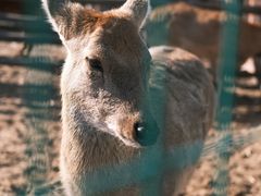 -清风小镇闯关东影视基地
