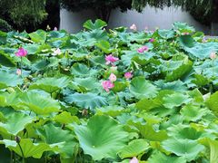 -费孝通江村纪念馆