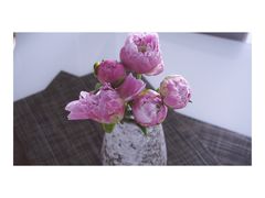 -双季花艺园艺市场(浦东店)