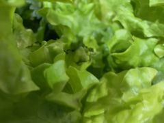 -郭记烤肉创始店(民丰大街店)
