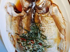 清蒸白条-春暖花开(西溪店)