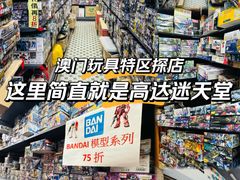 -Wetoys 玩具特区(花王堂街7店)