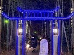 -杭州黄龙洞