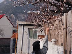 -荒度咖啡(北九水店)