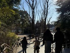 -井之头恩赐公园