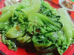 有机生菜-光明刘冰乳鸽店(光明法政北路店)