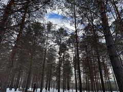 -北极村旅游风景区