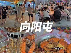 -日照灯塔风景区