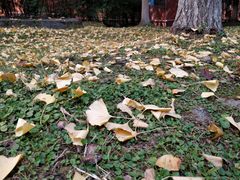 -永辉超市(龙潭寺店)