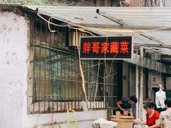 -胖哥家藏菜(护国路店)