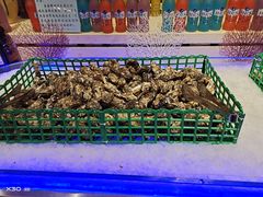 -比尔森韩式烤肉自助(绿园店)