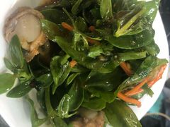 田七拌扇贝-大锅强·蒸海鲜青岛菜(吾悦广场店)