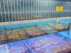 -海韵之星邮轮水会(明发商业广场店)
