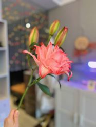 -哈颜科技轻美·