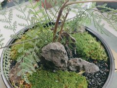 -江仙雅居(中航国际店)