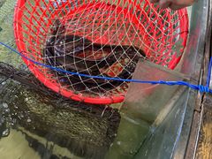 -楚鱼王·河鲜·湖北菜(华农店)
