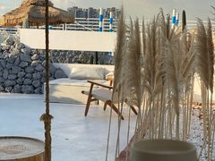 -Blue Concept Cafe&Farm·關於藍