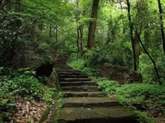 -岳麓山风景名胜区