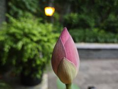 -花锦堂·隐庐