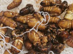 -和源祥·日照菜扛把子(万平口一店)