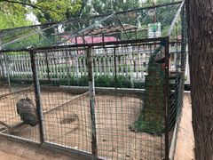 -意大利农场度假村