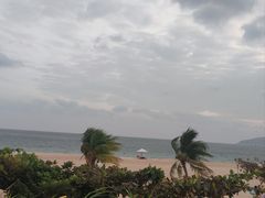 -渔家火锅·海鲜自助餐·演艺(亚龙湾天域酒店)