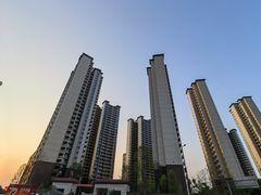-张坝桂圆林公园