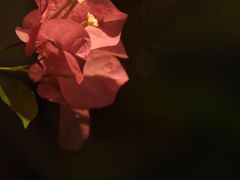 -菩提书坊(侨福大厦店)