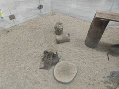 -海合安武汉极地海洋公园