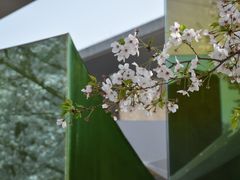 -龙美术馆(西岸馆)